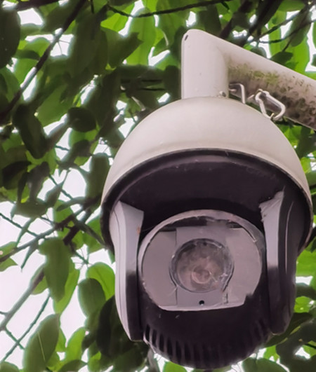 AI視頻聯(lián)網(wǎng)報(bào)警系統(tǒng)提示：湖景雖美，但請(qǐng)遠(yuǎn)離堤岸|峨眉山|峨秀湖|戶外監(jiān)控球機(jī)