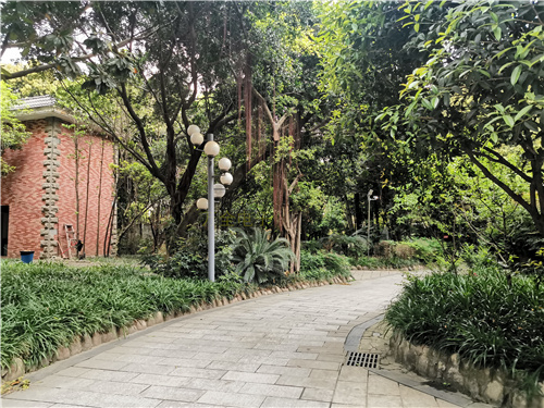 地下停車場、大型倉庫，如何解決大場景下的監(jiān)控需求