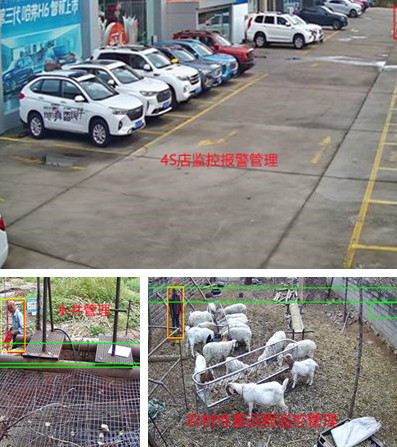 無電無網(wǎng)少人煙的野外，還想裝監(jiān)控系統(tǒng)？這不是空想