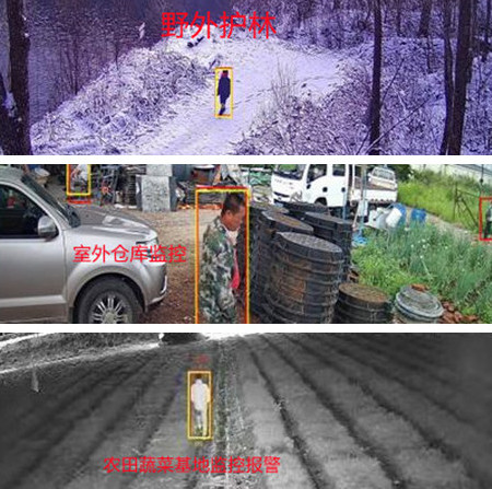 無電無網(wǎng)少人煙的野外，還想裝監(jiān)控系統(tǒng)？這不是空想