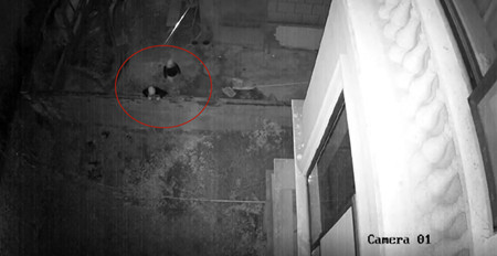 傳統(tǒng)監(jiān)控系統(tǒng)和AI視頻聯(lián)網(wǎng)報警系統(tǒng)在家庭安防中的區(qū)別