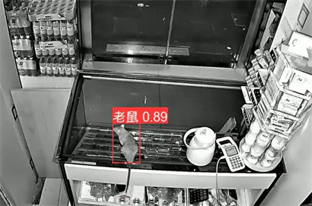 AI視頻監(jiān)控能拍到老鼠？老鼠監(jiān)控算法說(shuō)可以