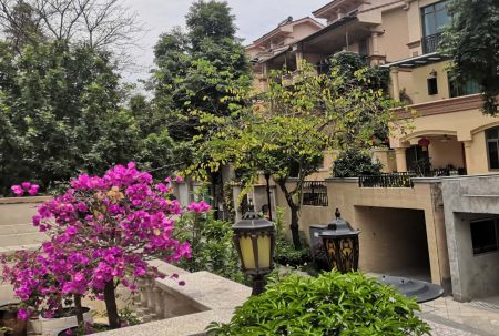 小區(qū)屢被“光顧”，居家安全小區(qū)安防請多加重視