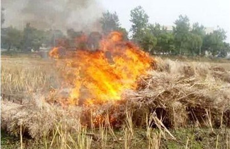 AI視頻監(jiān)控系統(tǒng)|AI監(jiān)控報警系統(tǒng)|農村安防|AI算法|防下水算法|火焰識別算法|防翻越算法 AI視頻監(jiān)控系統(tǒng)|AI監(jiān)控報警系統(tǒng)|農村安防|AI算法|防下水算法|火焰識別算法|防翻越算法