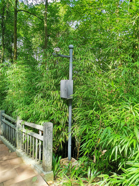 安防監(jiān)控系統(tǒng)工程中的AI智能算法，可實(shí)現(xiàn)包括：人形識別、火焰識別、車輛識別、行為識別等一系列的AI智能識別算法